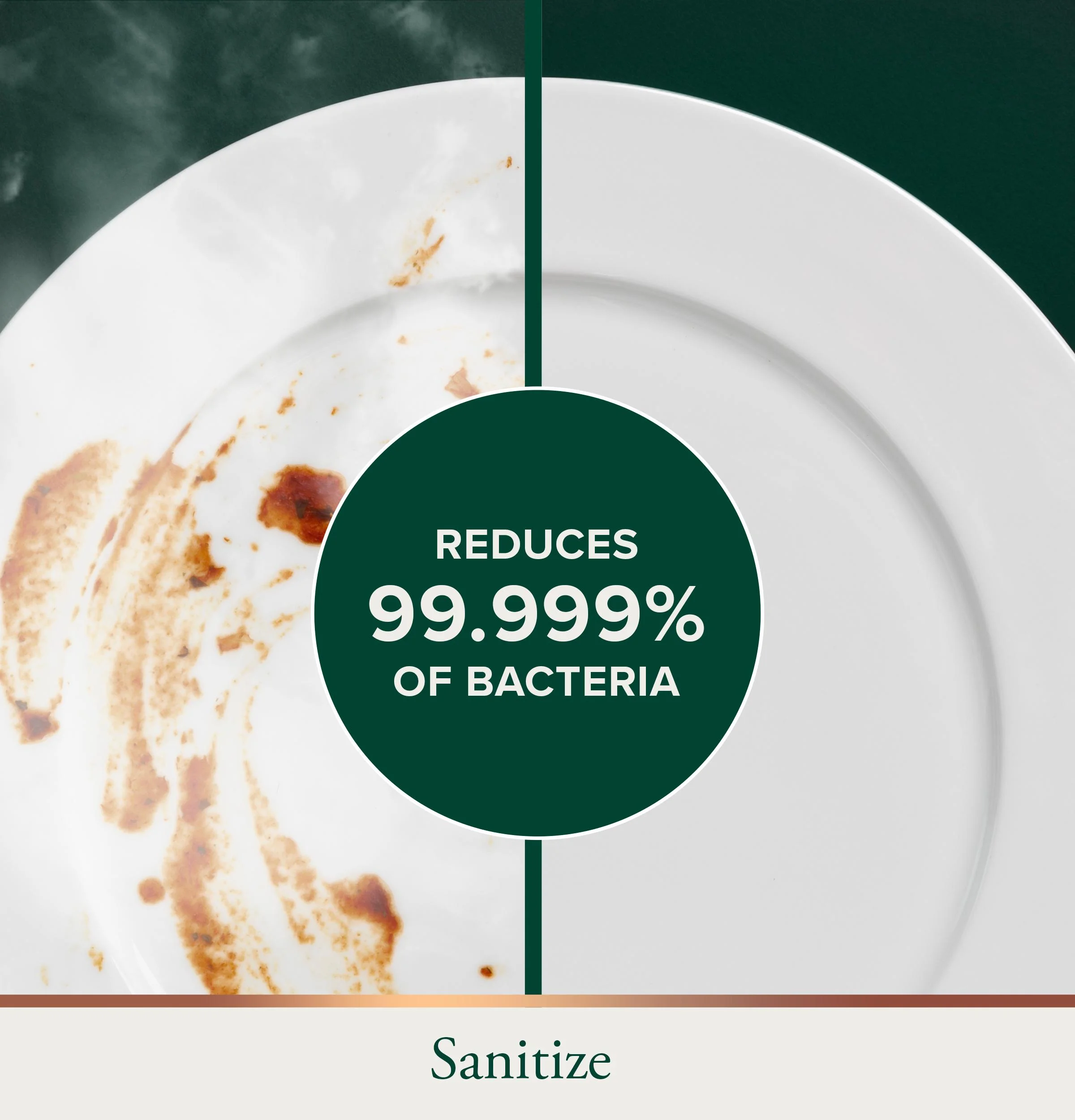 Presoak + Sanitize