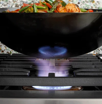 Inspiral(TM) Wok Grate