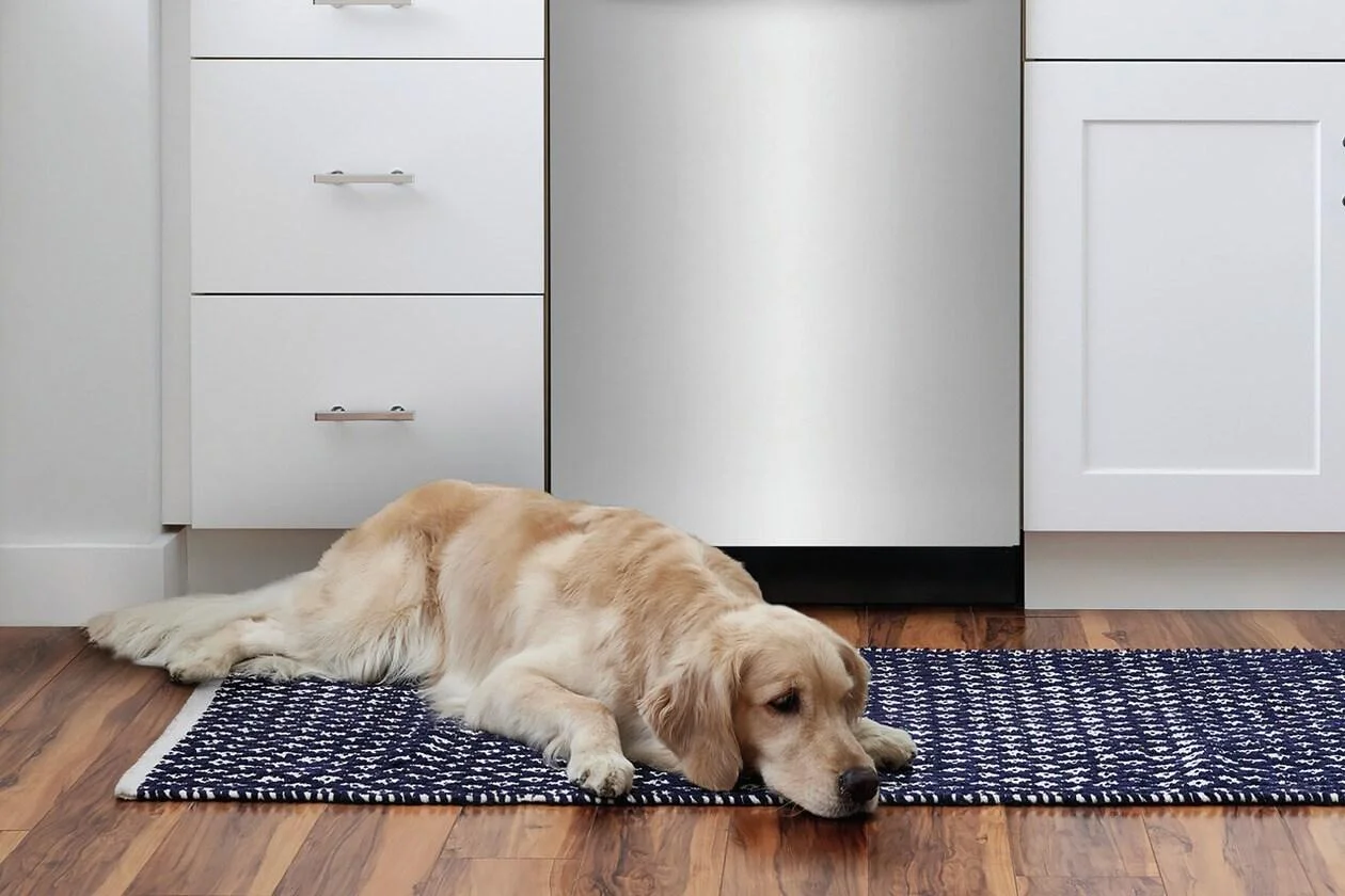 Keep your Kitchen Quiet with 49 dBA