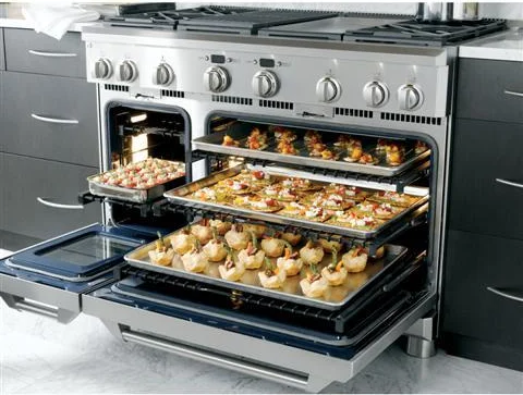 Monogram professional oven system