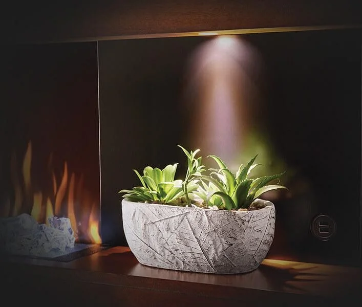 Shelf with Accent Lighting